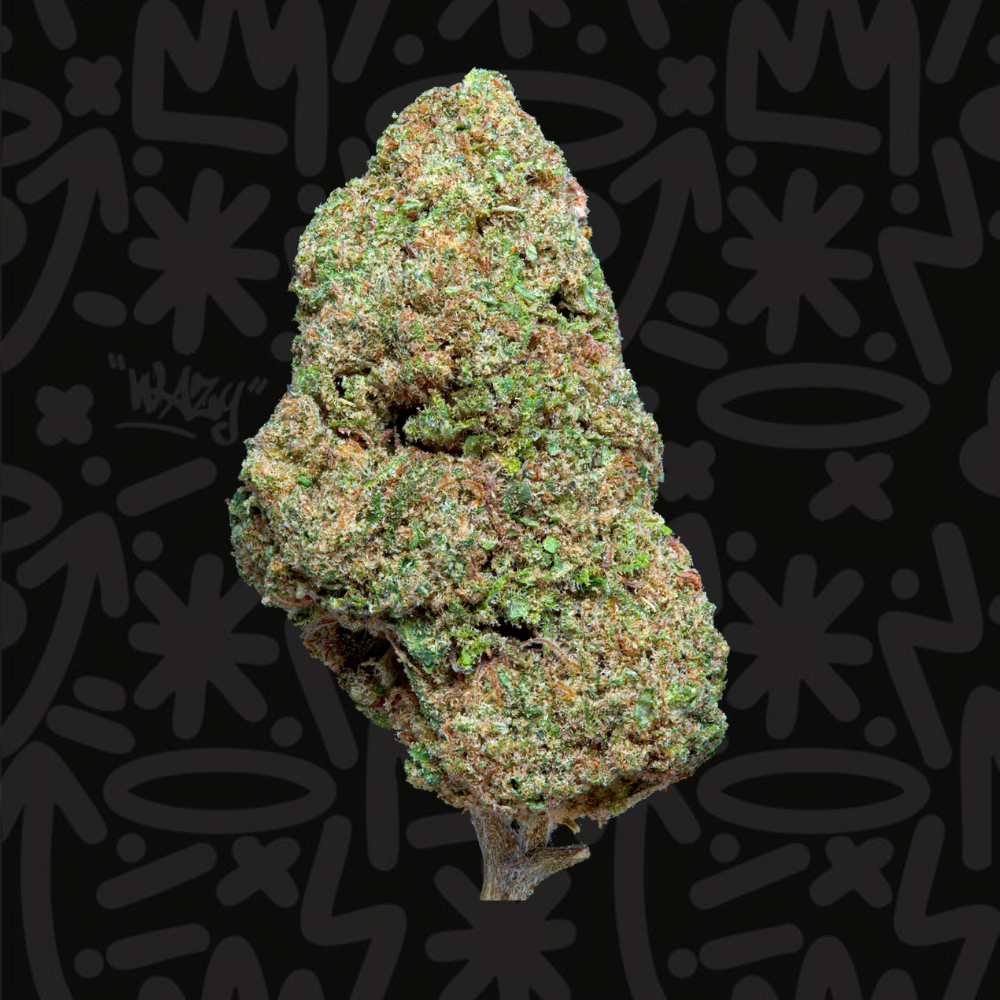Fleur CBD Critical Indoor Premium WAZY, vue produit haute qualité