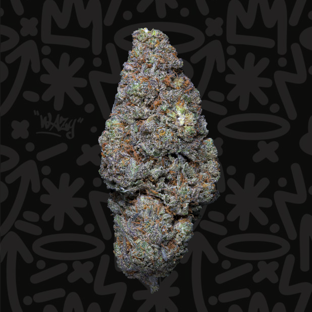 Fleur CBD Galactik Crunch Indoor Premium WAZY, vue produit haute qualité