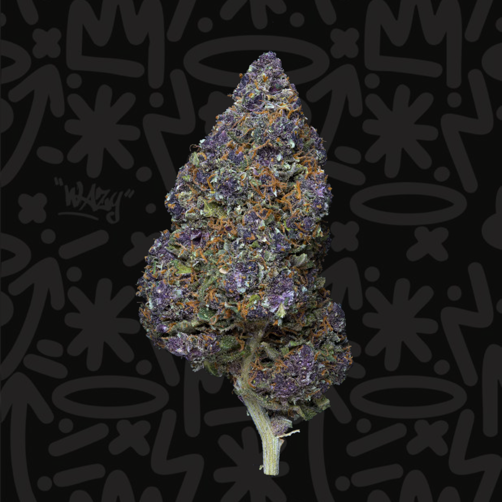 Fleur CBD Sapphire Kush Indoor Premium WAZY, vue produit haute qualité
