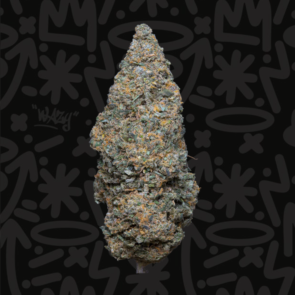 Fleur CBD Slurp Indoor Premium WAZY, vue produit haute qualité