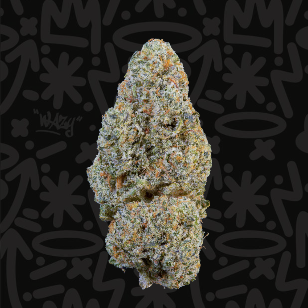 Fleur CBD Snowing in Dam Indoor Premium WAZY, vue produit haute qualité